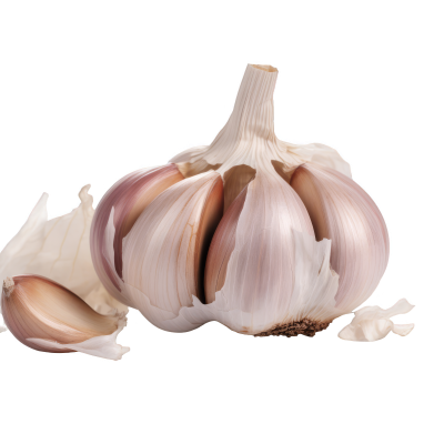 Garlic - ARGENTINA (large size bulb )